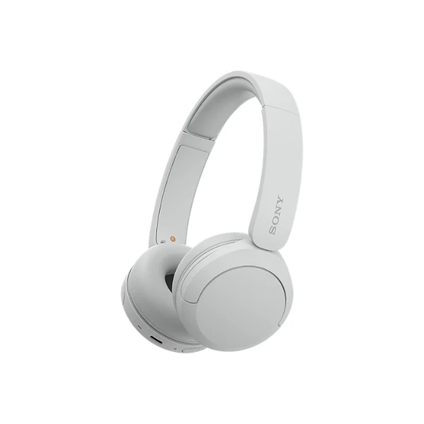 WH-CH520 Wireless Headphones
